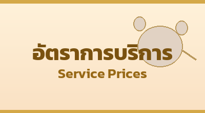 06_service_prices