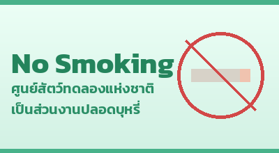 12_no_smoking